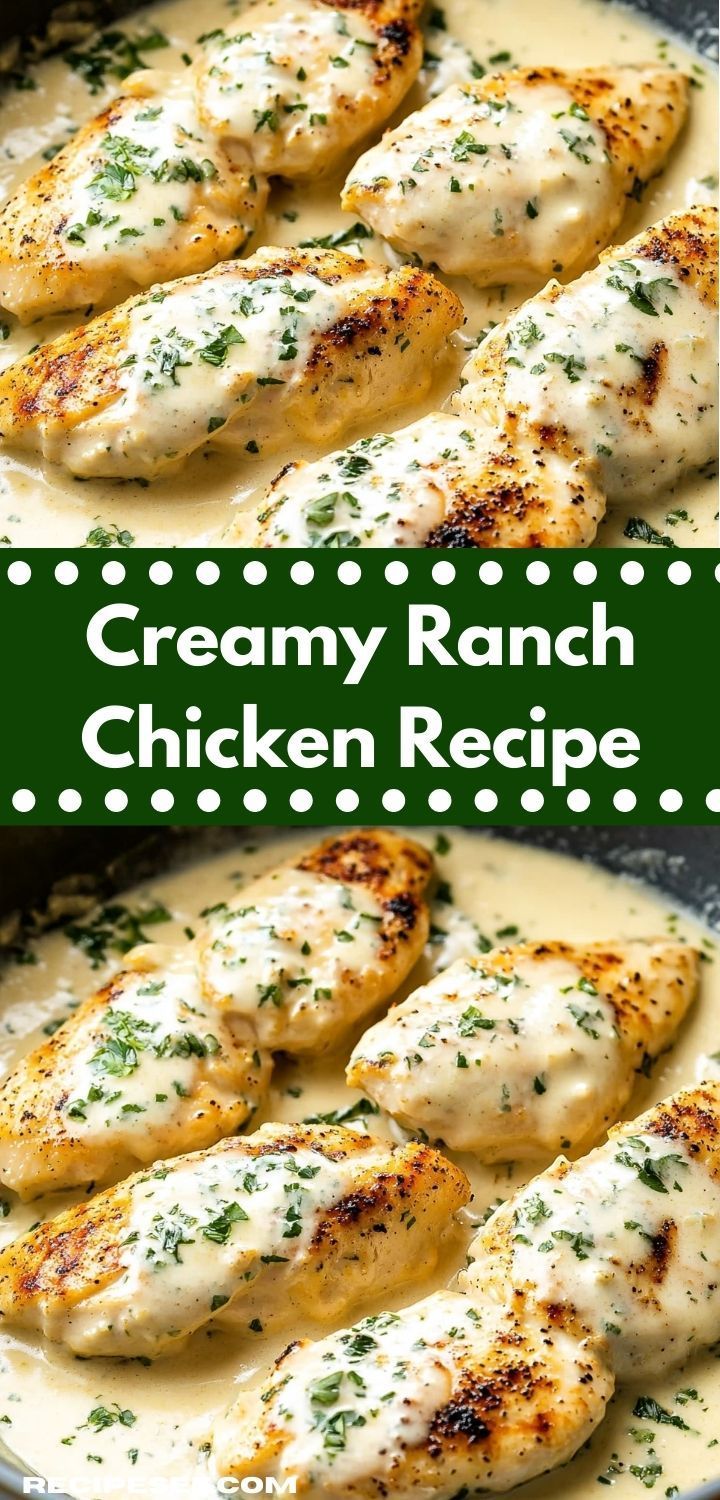 creamy ranch chicken recipe in a skillet