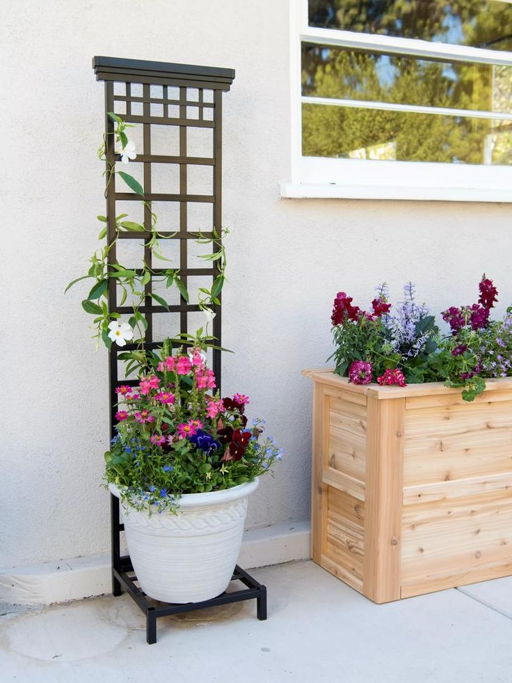 two potted plants are sitting next to each other on the side of a house