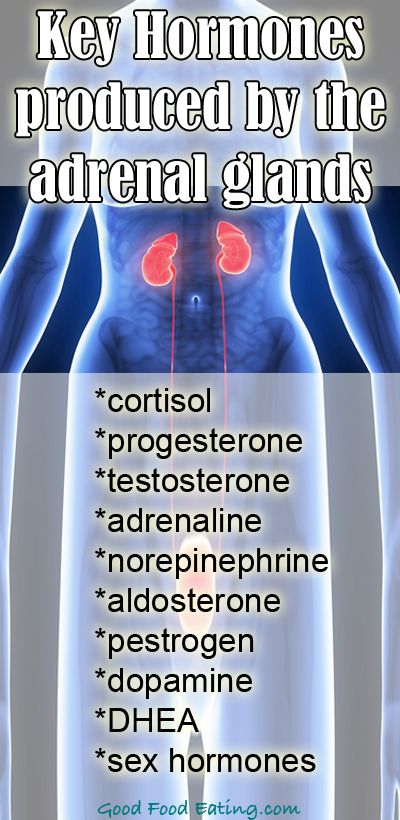 CLICK HERE to read about adrenal health, adrenal fatigue, signs and symptoms and what to do about it. http://goodfoodeating.com/2234/ What Is Adrenal Fatigue, Addisons Disease, Adrenal Health, Chronic Fatigue Symptoms, Adrenal Glands, Endocrine System, Adrenal Fatigue, Thyroid Health, Hormone Health