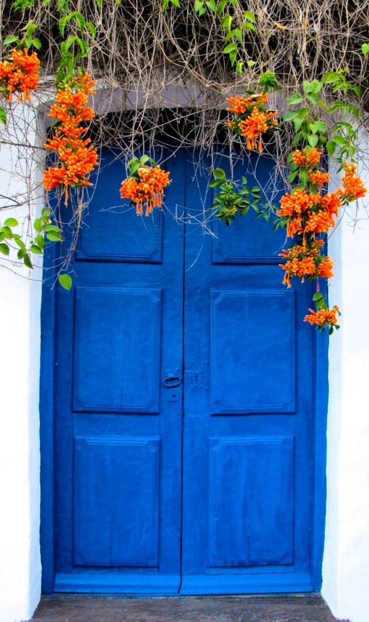 an open blue door with vines growing over it and flowers on the outside, in front of a white building