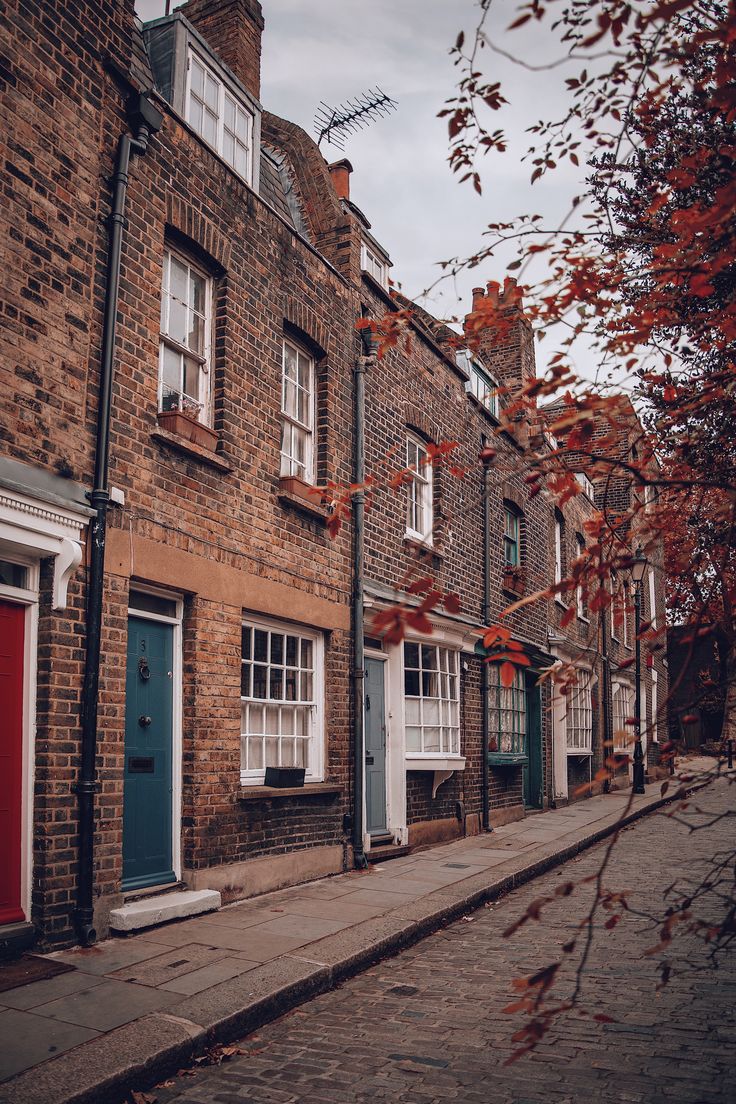 a row of brick buildings with blue doors and windows on the side of each building