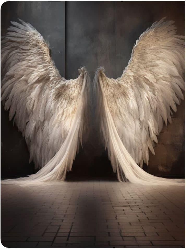 Angel Wings Photography, Innovative Design Ideas, Angel Wings Drawing, Angel Wings Illustration, Angel Wings Art, Angel Wings Wall, White Angel Wings, Angel Artwork, Heaven Art