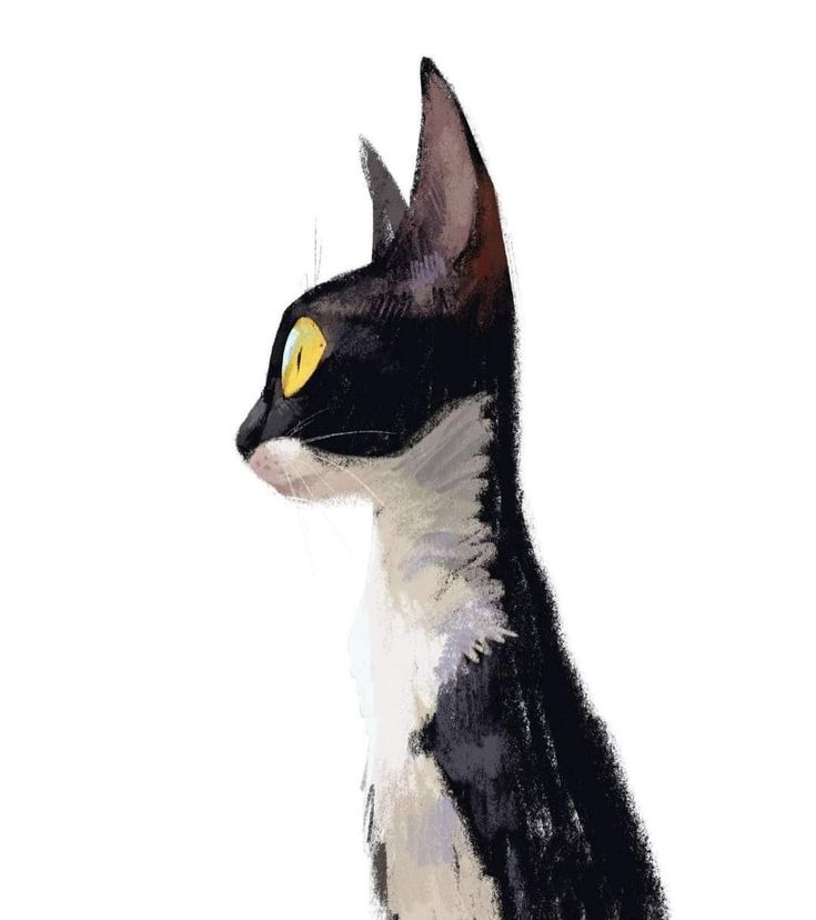 a drawing of a black and white cat with yellow eyes looking off to the side