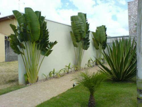 some very pretty plants by the side of a building