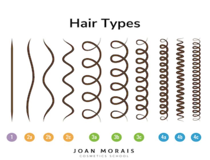 Hair Type Chart, 2a Hair, Hair Science, Natural Hair Shampoo, 4c Natural Hair, Wavy Curly Hair, Corte De Cabelo Masculino, Coarse Hair, Beauty Makeup Tips