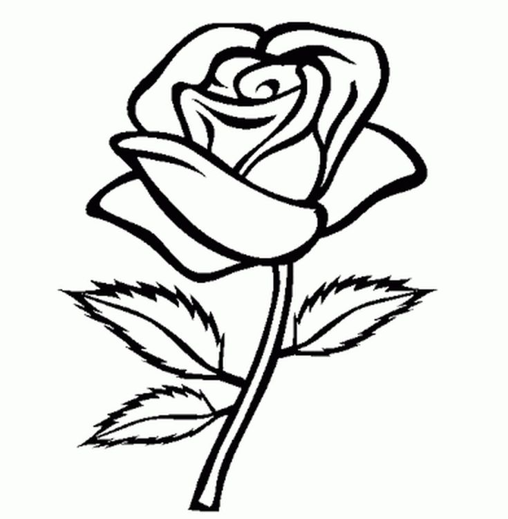 a black and white drawing of a rose