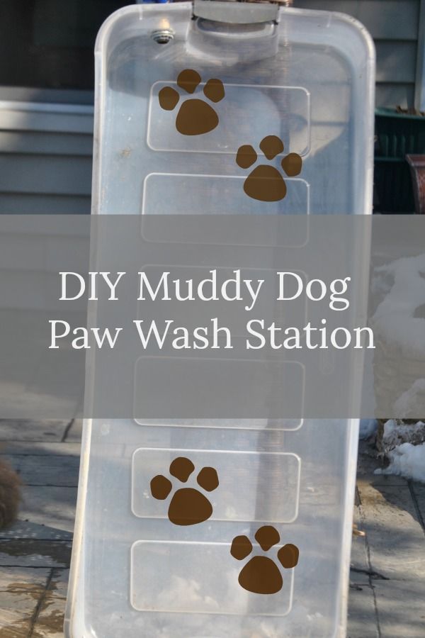 a dog paw wash station with the words diy muddy dog paw wash station on it