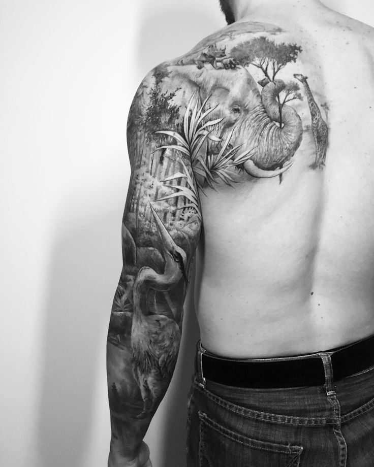 a man with an elephant tattoo on his back