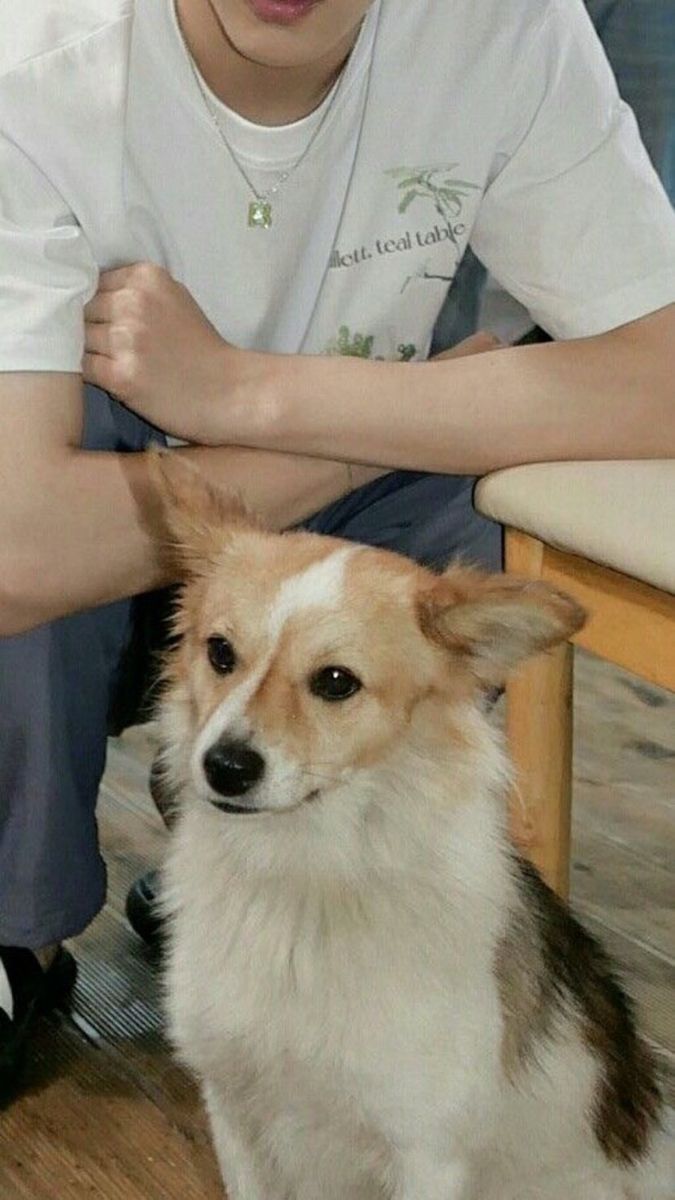 a dog sitting on the floor next to a person with his hand on his leg