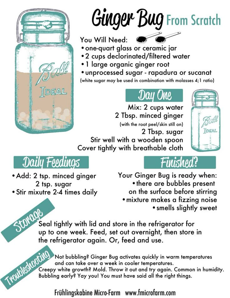 a recipe for ginger bug from scratch with instructions on how to make it in a mason jar