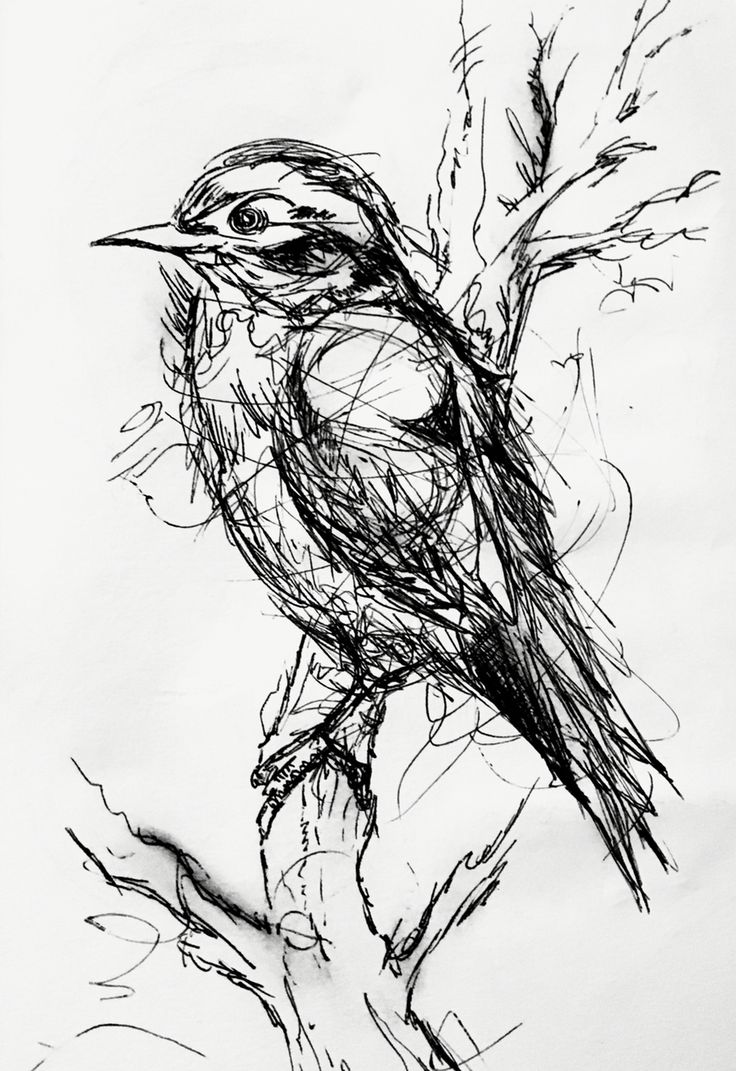 a black and white drawing of a bird on a branch