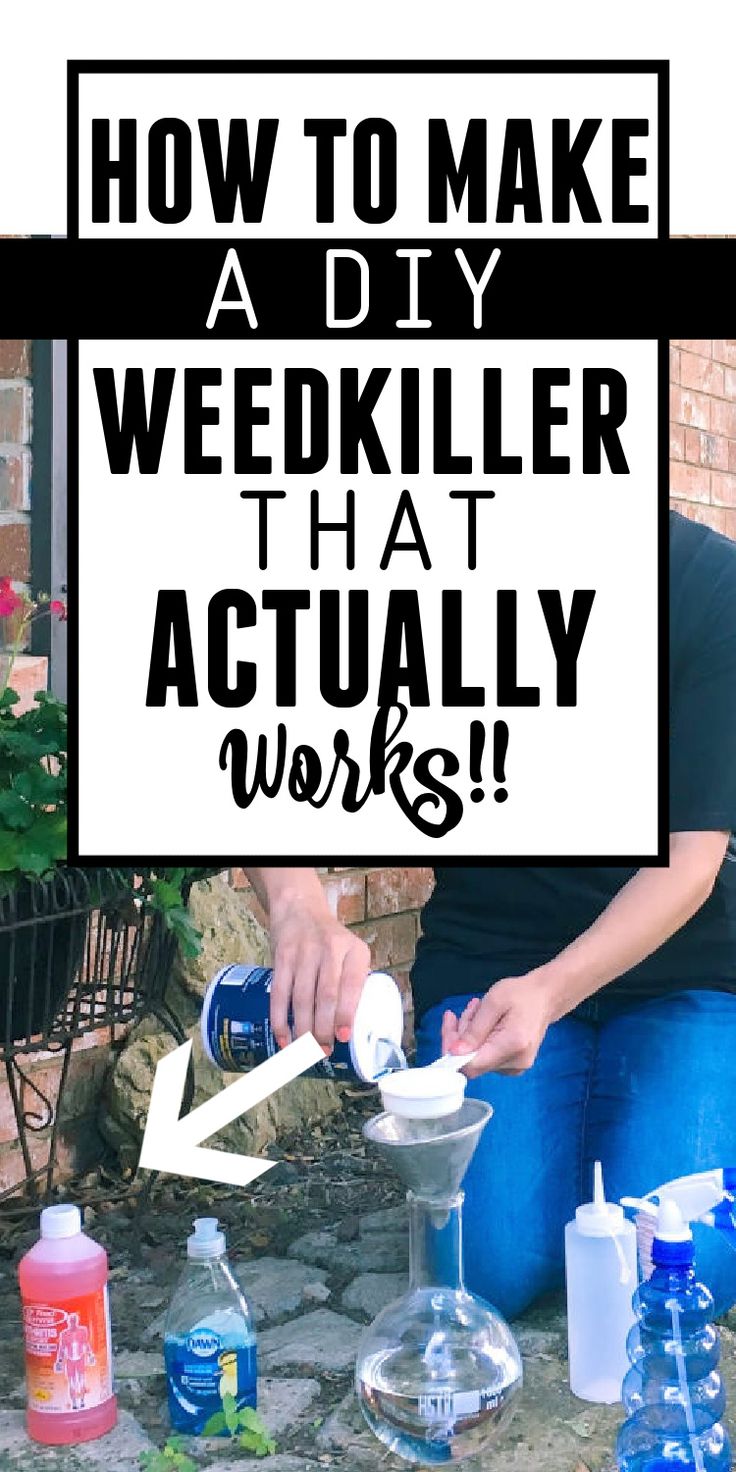 Killing Weeds With Vinegar Diy, Home Made Weedeater, How To Kill Weeds Naturally, How To Kill Weeds Permanently, Gardening Binder, Homemade Cleanser, Kill Weeds Naturally, Killing Weeds, Kill Weeds