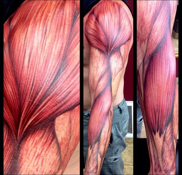 the back of a man's arm with muscles highlighted in red and black ink