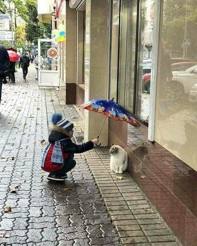 a small child is petting a dog under an umbrella on the side walk in front of a store