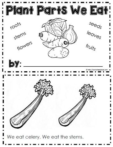 the plant parts we eat worksheet is shown in black and white, with two pictures