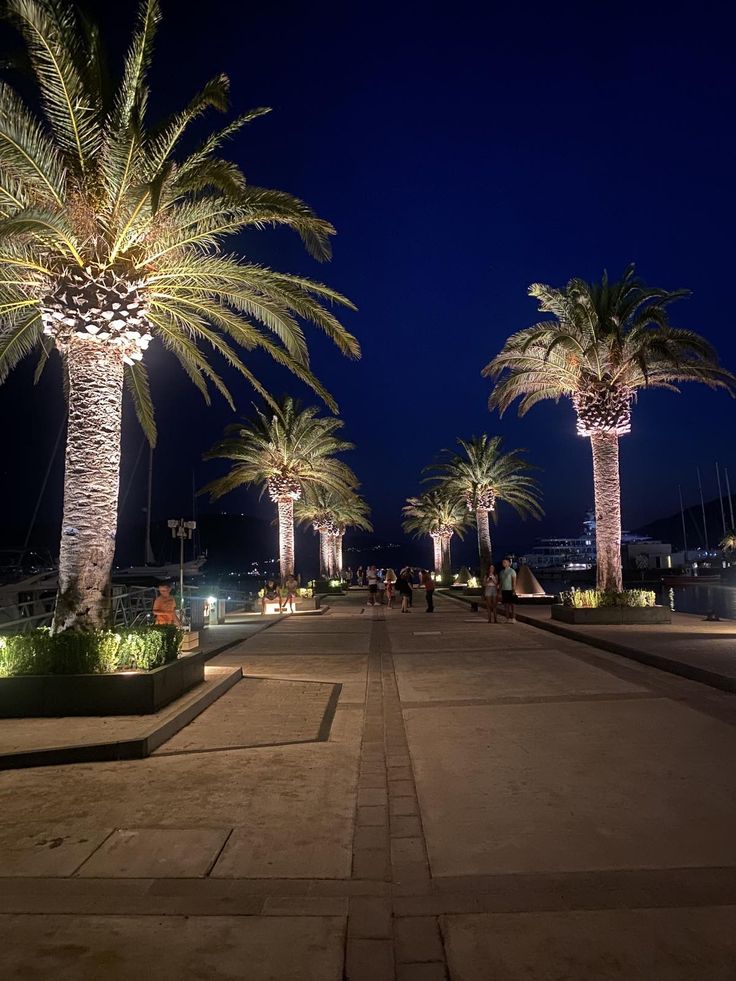 palm trees are lit up at night on the sidewalk in front of some water and buildings