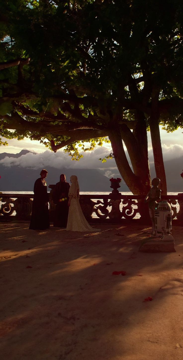 a bride and groom standing under a tree in front of the ocean on their wedding day