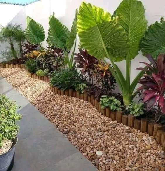 a garden with lots of plants and rocks in the ground next to a white wall