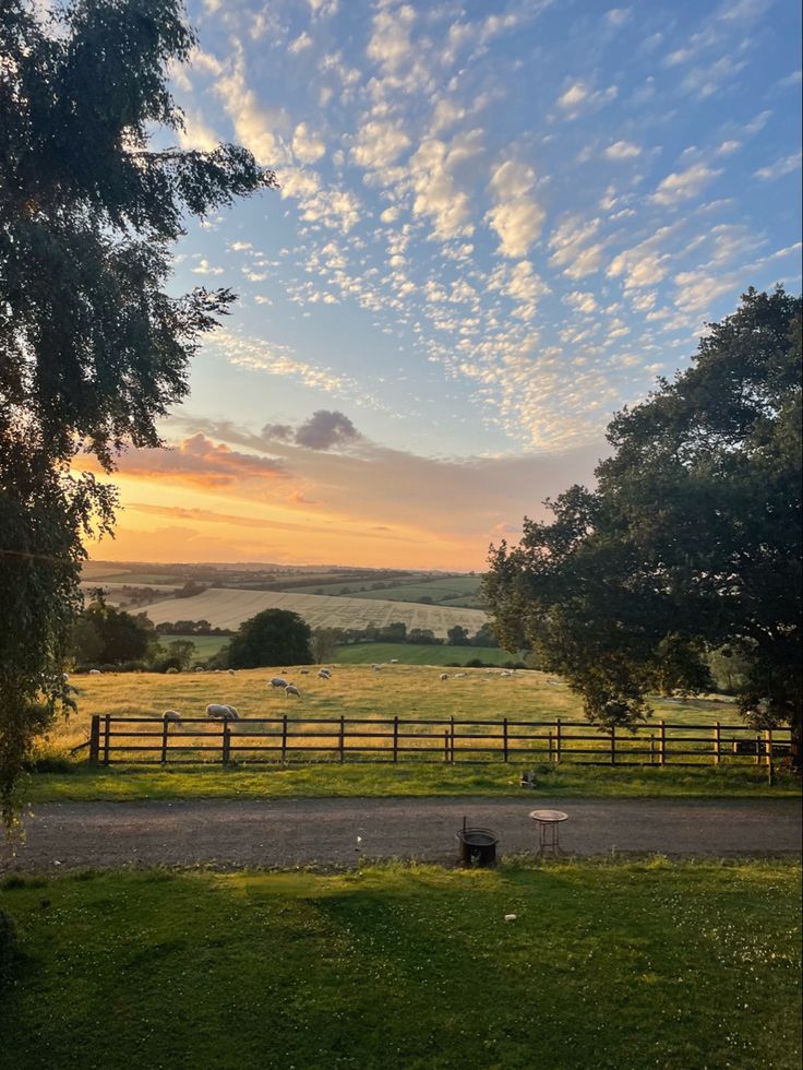 the sun is setting over an open field with sheep grazing in the pasture behind it