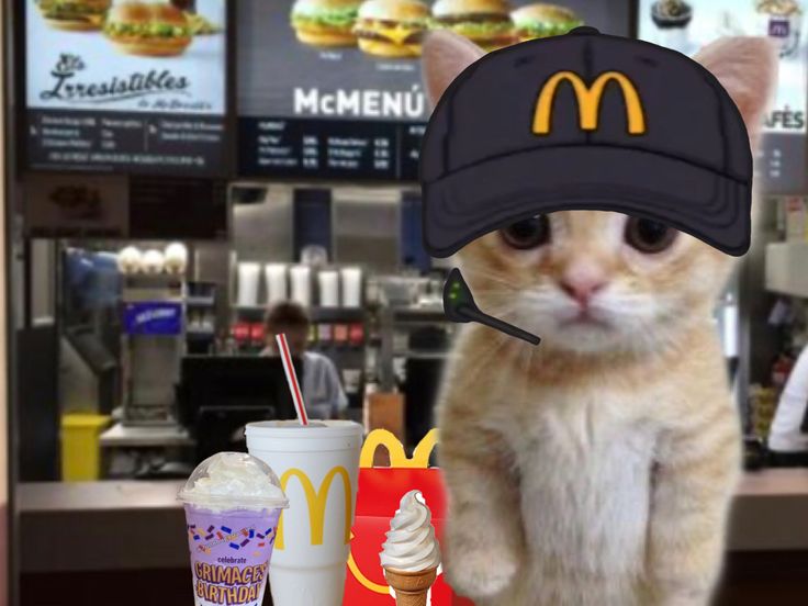 a cat wearing a mcdonald's hat sitting in front of some food