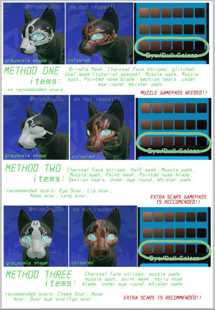 the instructions for how to make a cat mask in photoshopped with adobe and after effects