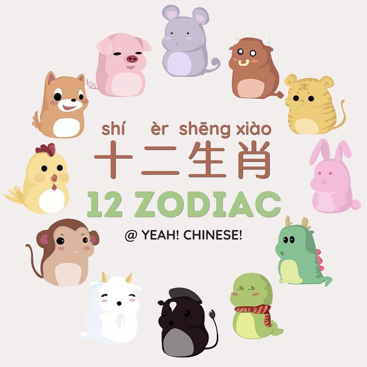 the chinese zodiac sign is surrounded by cute animals