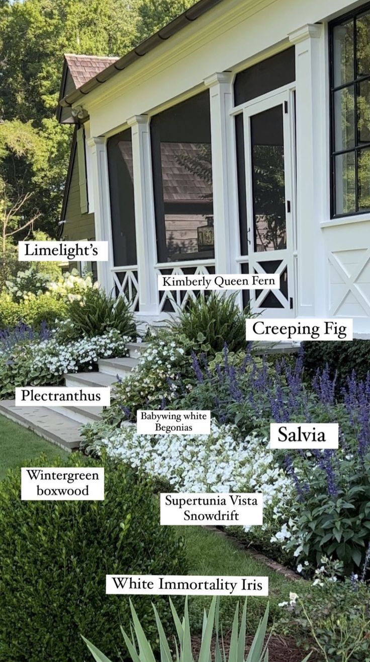 the names of different types of plants in front of a white house with black windows