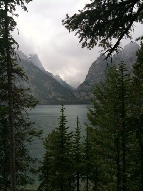 trees and mountains in the distance with water below