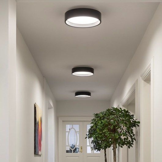 a long hallway with two potted plants on the floor