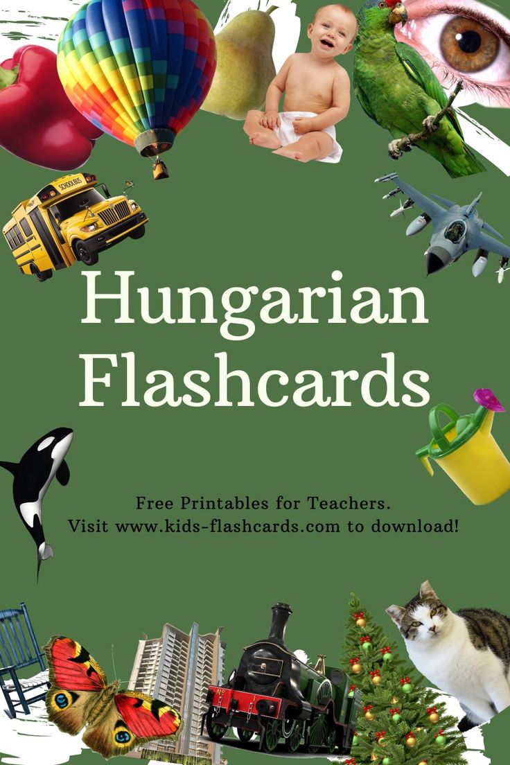 the cover of hungarian flashcards with pictures of children's toys, animals and other things