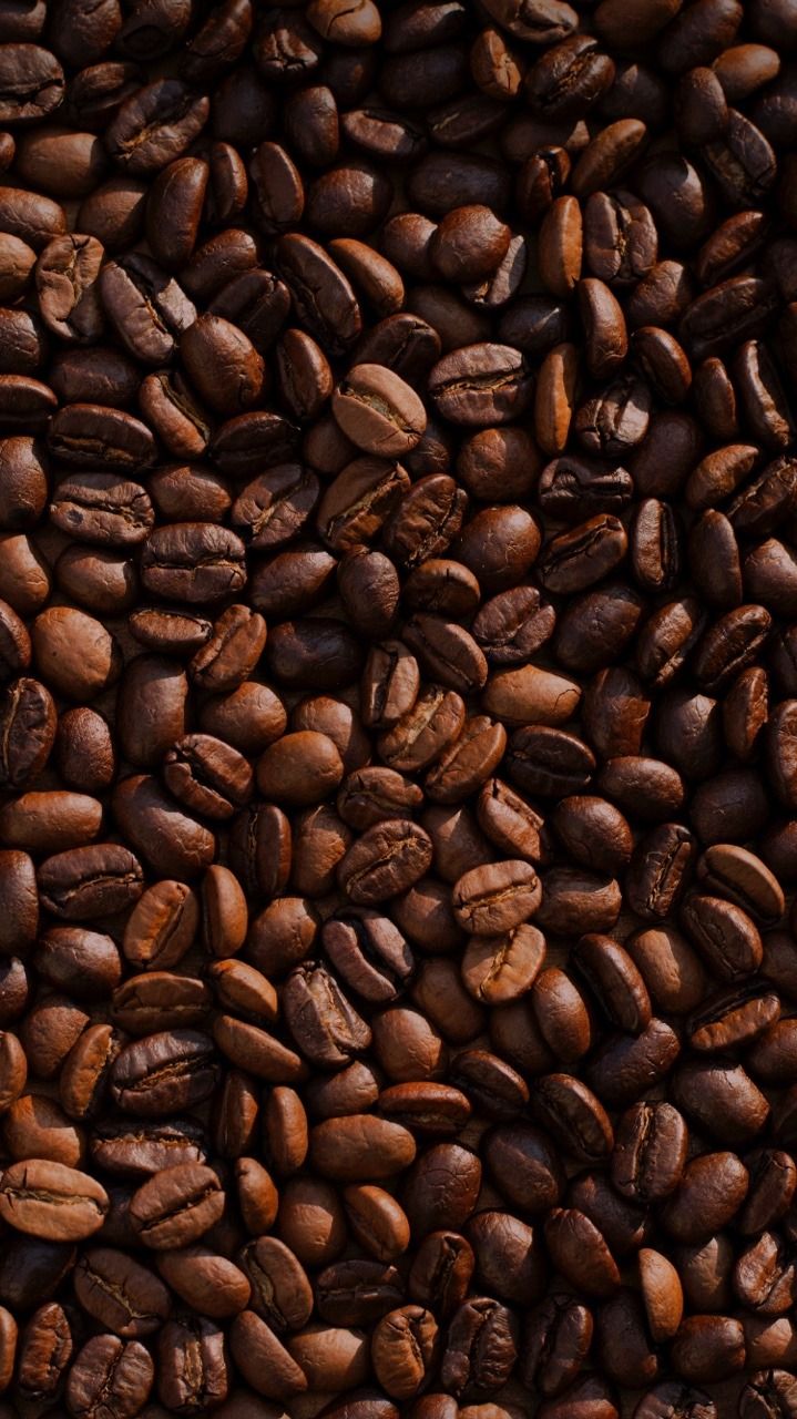 coffee beans are shown in this close up shot, with the top portion of them covered by dark brown colored grains