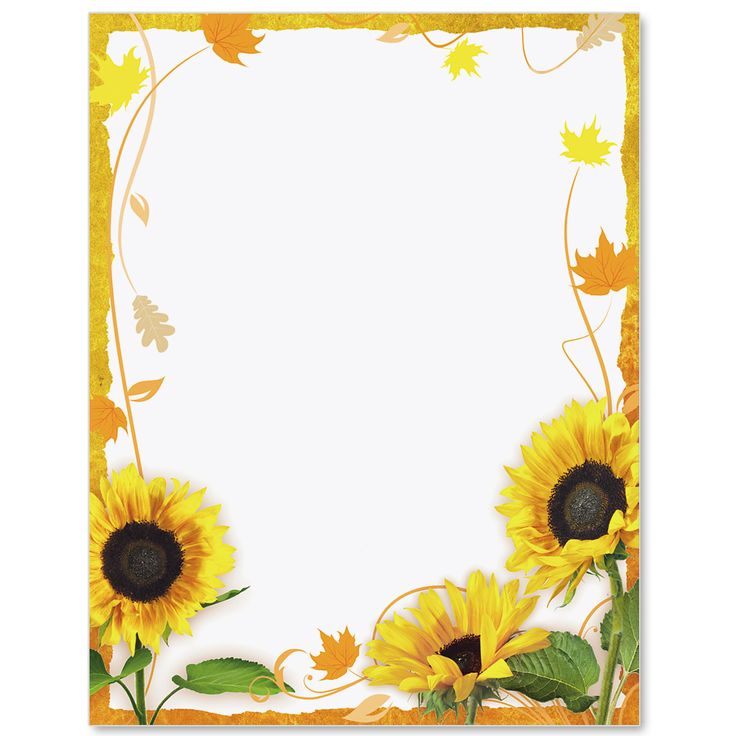 sunflowers and leaves on a white background with an orange border around the edges