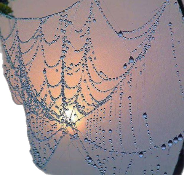 rain drops on the windshield of a car as the sun is setting in the background