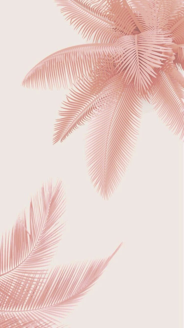 pink palm leaves on a white background with the words intererao 101 stories musica