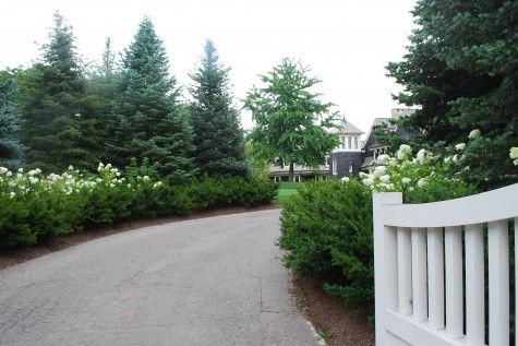 a white gate in front of some trees and bushes