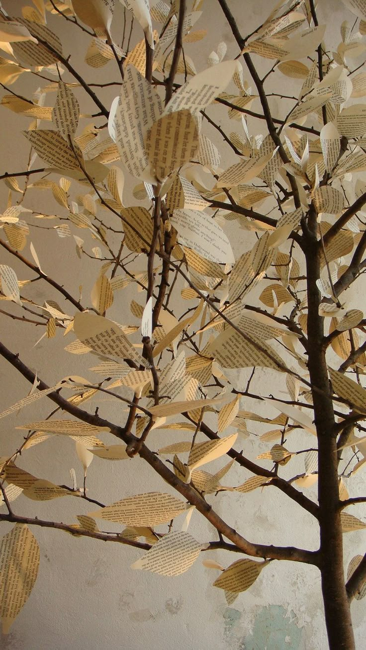 a tree with lots of leaves on it in front of a white wall and ceiling