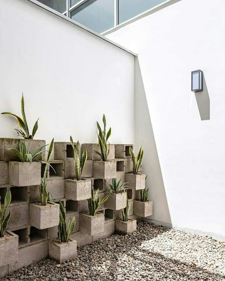 several cement planters are lined up against a wall with plants growing out of them