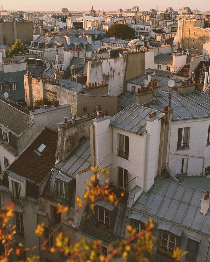 an aerial view of buildings and rooftops in the city with autumn leaves on them