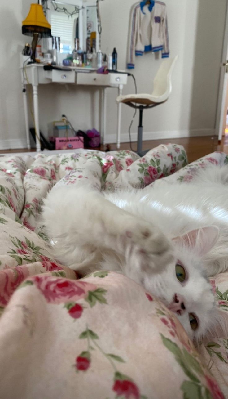 a white cat laying on top of a bed next to a desk and chair in a room