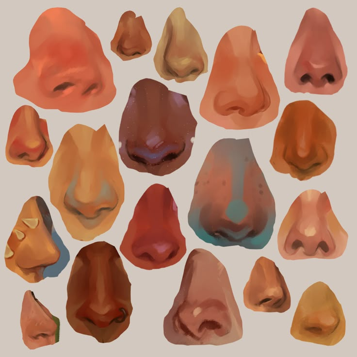 a bunch of different types of nose shapes