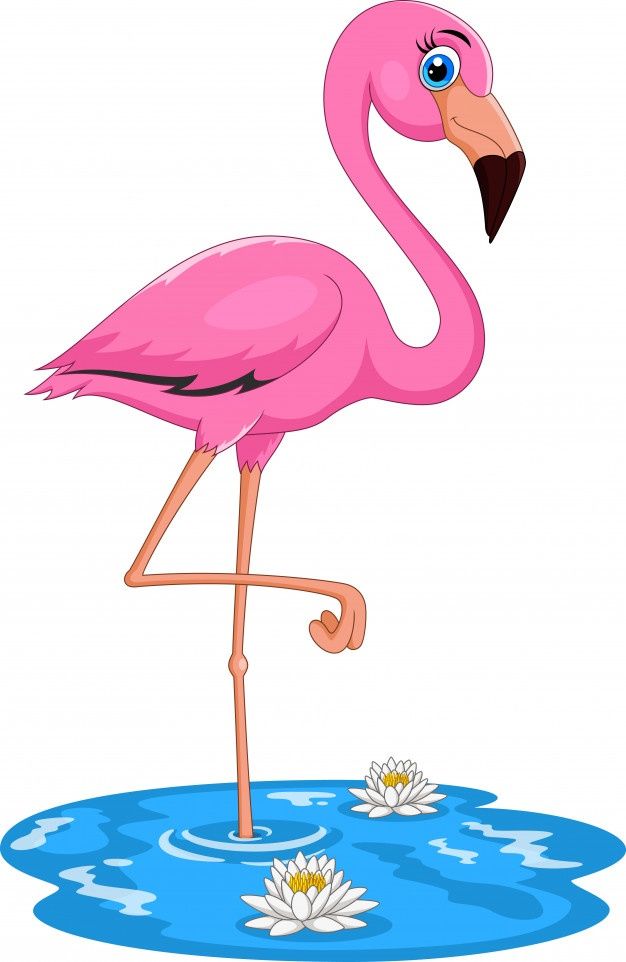 a pink flamingo standing in the water