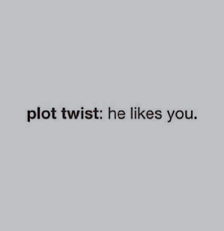 the words plot twist he likes you are in black and white on a gray background