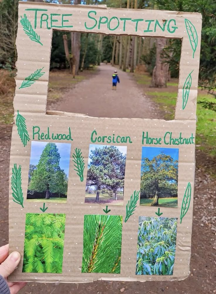 a person holding up a cardboard sign with pictures of trees and plants on it in the woods