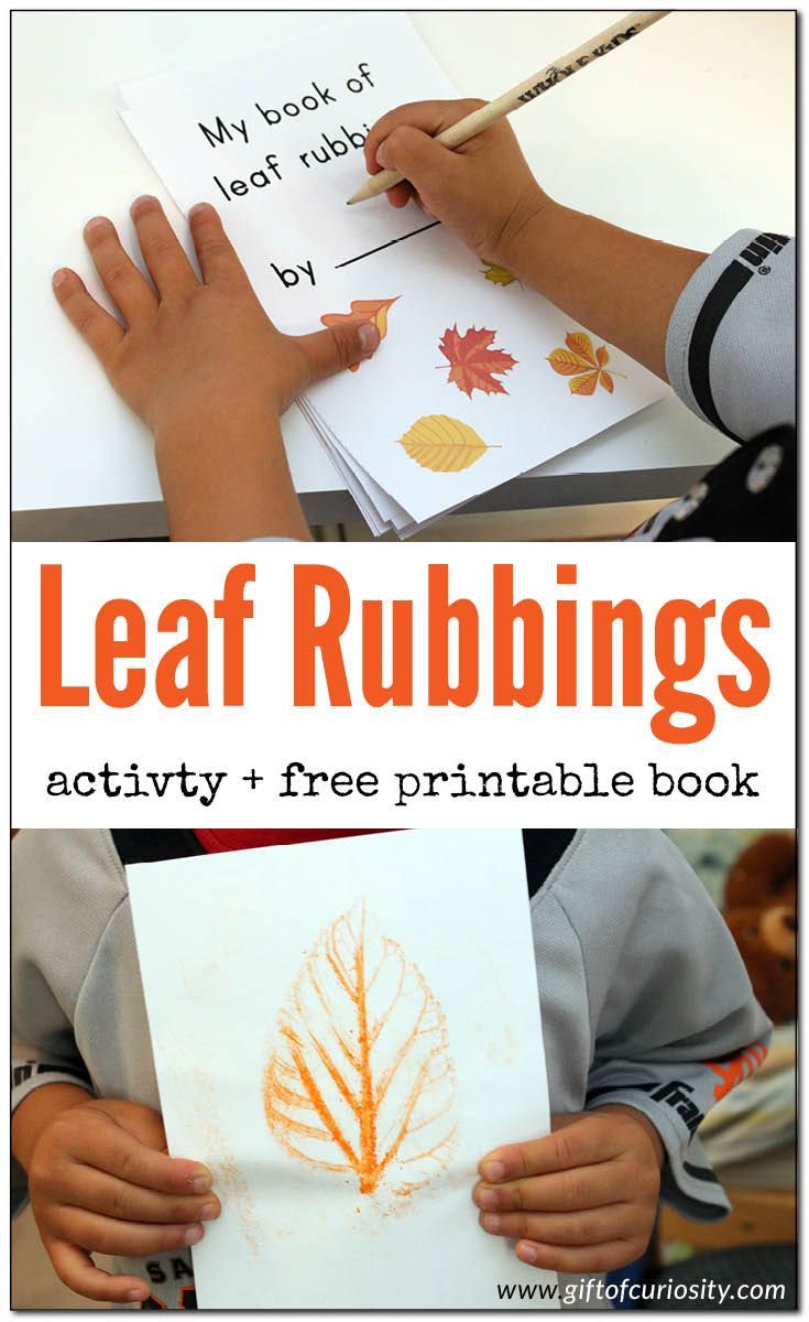 leaf rubbings activity and free printable book