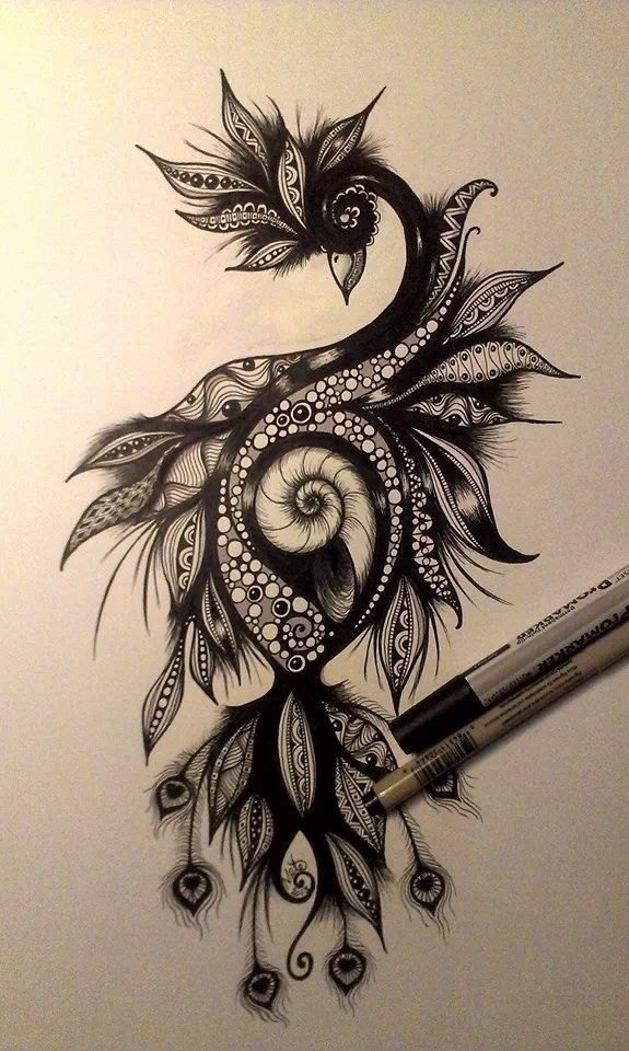 a drawing of a peacock with feathers on it