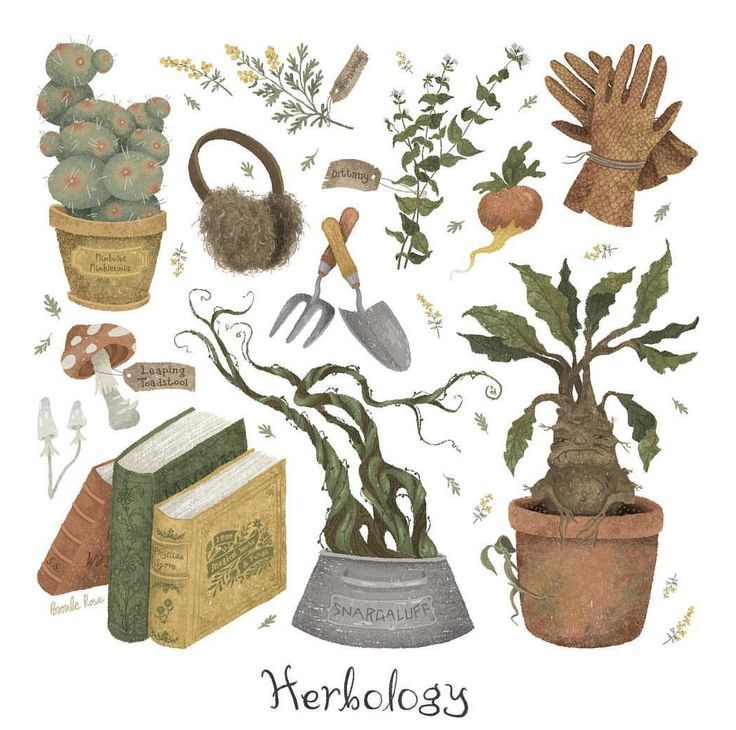 there are many plants and gardening items in this illustration, including gloves, rakes, books