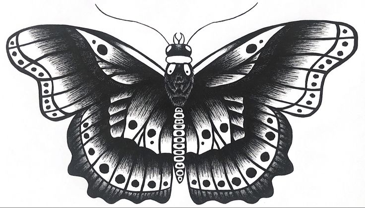 a black and white drawing of a butterfly with dots on it's wings is shown