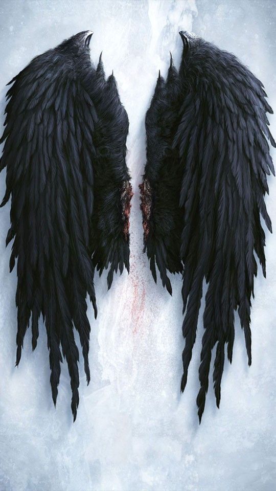 two large black wings with blood on the ground and snow in the backgrouds