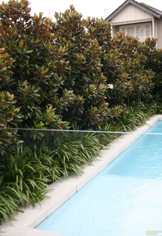 an empty swimming pool in front of a house with bushes and shrubs around the edge