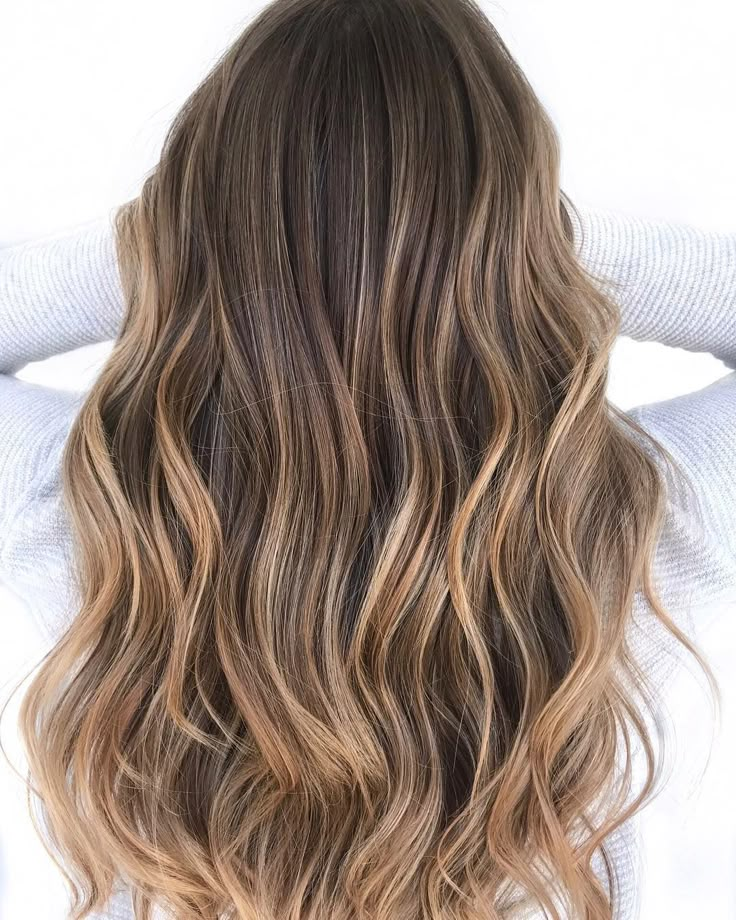 Honey Blonde Balayage Wavy Hair, Beachy Brunette Balayage, Light Brown Bolyoge, Simple Blonde Highlights On Brown Hair, Beachy Bronde Haircolor, Brown Hair With A Few Highlights, Warm Light Brown Hair With Highlights, Hair Ideas For Brunettes With Highlights, Natural Balayage Light Brown